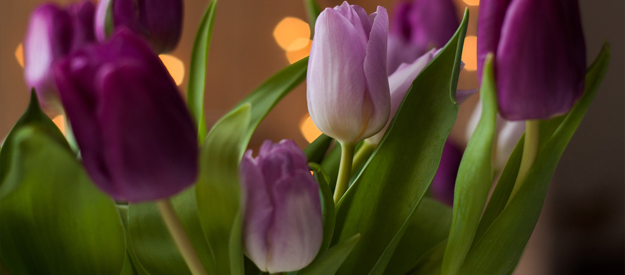 Auckland Celebrant Funeral Services by Syd Walker